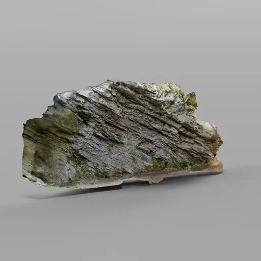 Forest Cliff