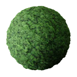 High-resolution Moss PBR material for 3D rendering in Blender, suitable for organic textures with displacement mapping.