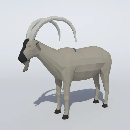 Kri Kri Wild Goat