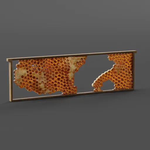 Half Honeycomb Frame