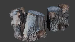 Realistic 3D modeled tree stumps with detailed textures suitable for Blender rendering and CGI projects.