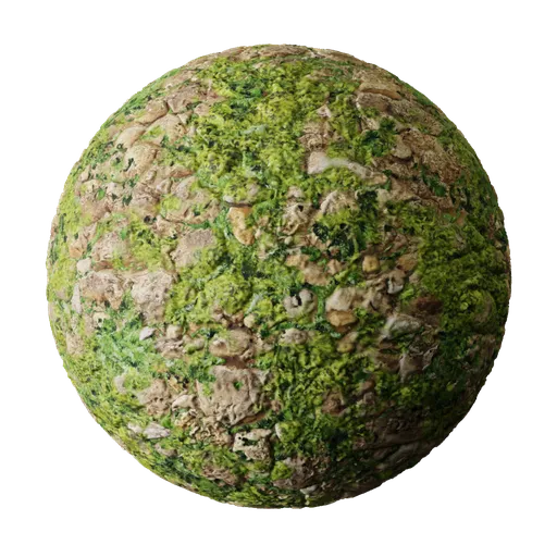 Rock with Moss