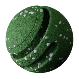 Grass with small stones