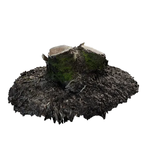 Mossy Stump