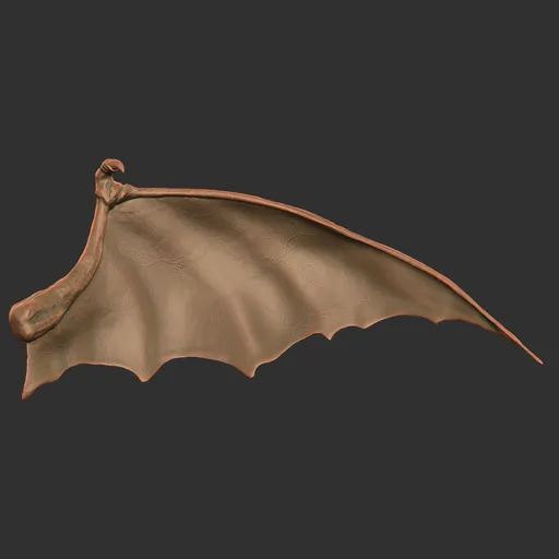 Wyvern Dragon Wing