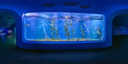Large fishbowl 12k