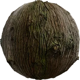Bark Brown 02