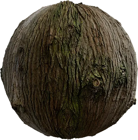 Bark Brown 02