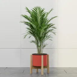 Scarlet Palm Planter
