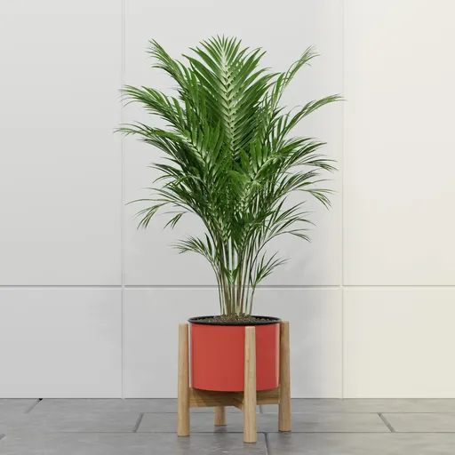 Scarlet Palm Planter