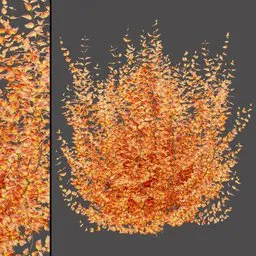 Autumn Bush