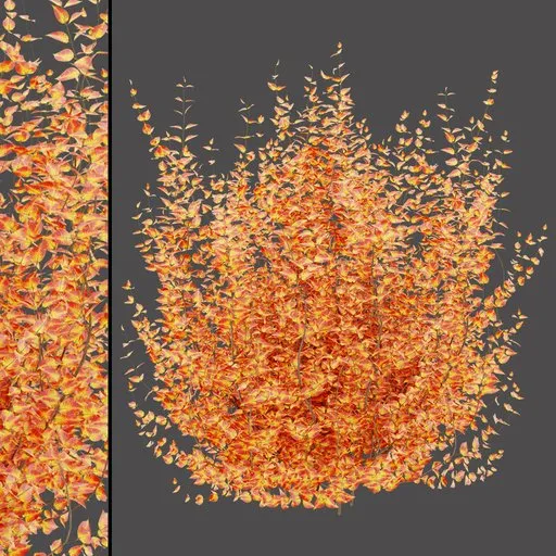 Autumn Bush
