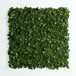 Alt text suggestion: "Contemporary style artificial wall panel with lush ivy foliage in 3D model for Blender 3D. Inspired by real products on the market, perfectly tileable for seamless integration. Created using Geomtery nodes with Bagapie addon for optimal performance." Keywords: artificial wall panel, ivy foliage, contemporary style, 3D model, Blender 3D, perfectly tileable, Geomtery nodes, Bagapie addon, optimal performance.