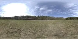 360-degree HDR panoramic image capturing natural lighting in a serene woodland clearing for realistic scene illumination.