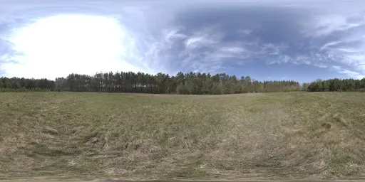 360-degree HDR panoramic image capturing natural lighting in a serene woodland clearing for realistic scene illumination.