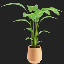 "Realistic indoor plant 3D model in Blender featuring attractive lighting and optimized polygons. The green foliage and long stems make it a perfect addition to indoor renderings. PVC poseable and ecopunk inspired with no textures for seamless use."