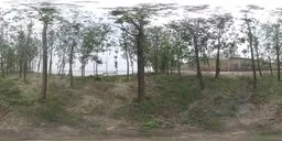 Serene woodland HDR panorama for environmental lighting and rendering.