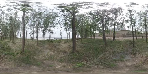 Serene woodland HDR panorama for environmental lighting and rendering.