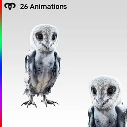 Baby Owl Animated