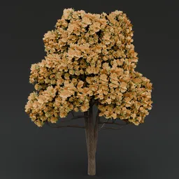 Yellow flowered-light green leaved tree