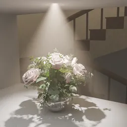 Soft Spotlight Rose