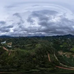 Cloudy and overcast mountain forest HDR