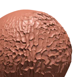 Morel Esculenta dense