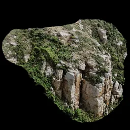 Scan Mountain Tree Rock