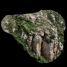 Scan Mountain Tree Rock