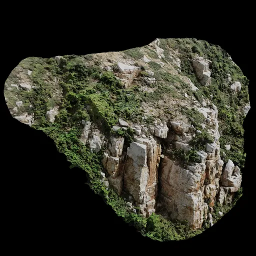 Scan Mountain Tree Rock