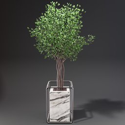 "Nature-inspired 3D model of a weeping fig flowerbox set featuring a pristine marble trunk, branching hallways, and shrubs. Rendered in CGI using Blender 3D software, this indoor nature scene includes a small tree in a glass vase on a table. Perfect for corner design, the steel frame and stone box complement the Benjamin shrub for a stylish touch."