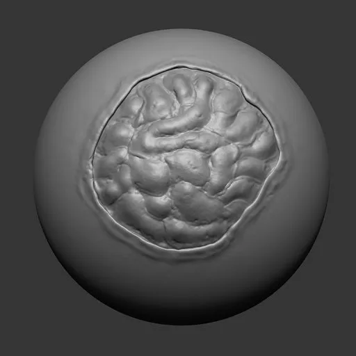 3D sculpting brush imprint of exposed brain texture for detailing undead character models in Blender.