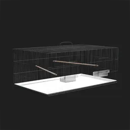 Bird Cage