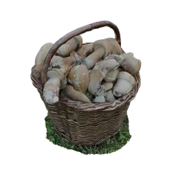 Basket with mushrooms laid on the grass