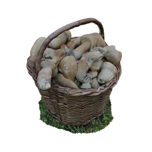 Basket with mushrooms laid on the grass