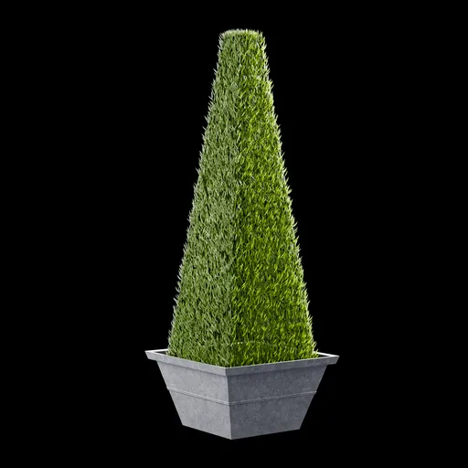 Decortaive Tree
