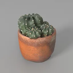 Realistic Cactus in a pot