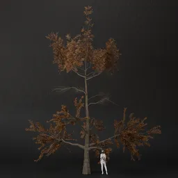 SJ-Brown Haze Pine Tree