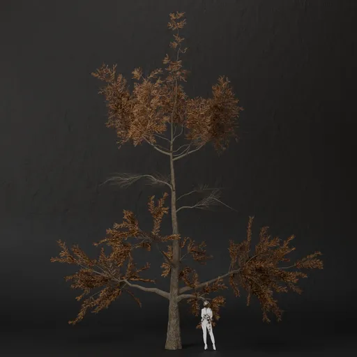 SJ-Brown Haze Pine Tree