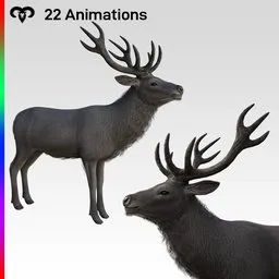 Deer Gray Animated