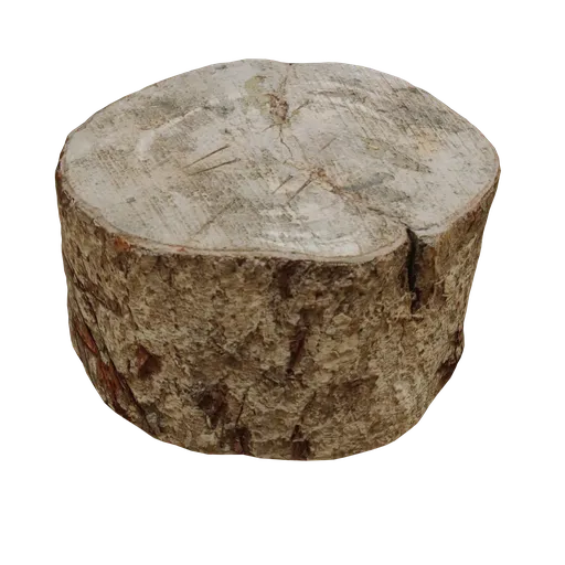 Detailed 3D tree stump model showcasing realistic textures, designed for use in Blender.