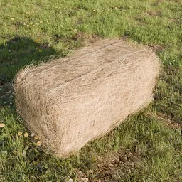 Hay Bale