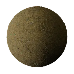 Olive Forest Soil with Pine Needles
