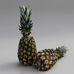 Pineapple 3D Scan