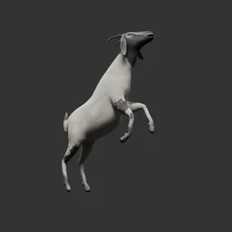 Goat Animated