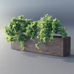 Realistic 3D model of a lush, leafy green bush in a textured wooden container, rendered with Blender.