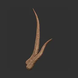 Simple Deer Antler