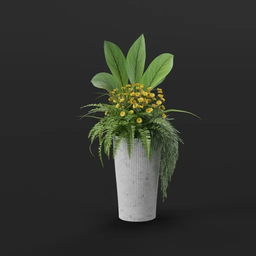 Plant