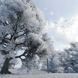 Frost Bloom Forest