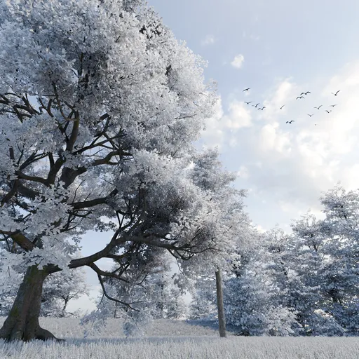 Frost Bloom Forest